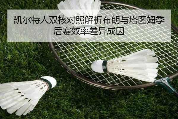凯尔特人双核对照解析布朗与塔图姆季后赛效率差异成因