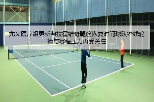 尤文医疗组更新弗拉霍维奇腿筋恢复时间球队锋线轮换与赛程压力再受关注